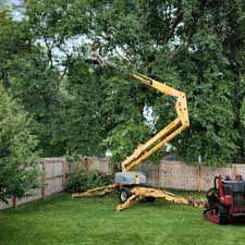 Best Utility Line Clearance  in Athens, OH